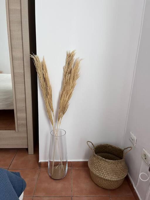 アロナCasa Lunitaアパートメント エクステリア 写真