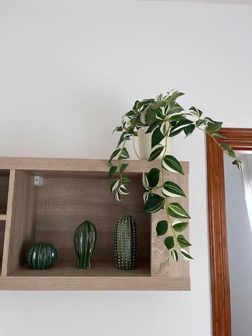アロナCasa Lunitaアパートメント エクステリア 写真